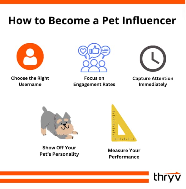 pet influencer marketing tips